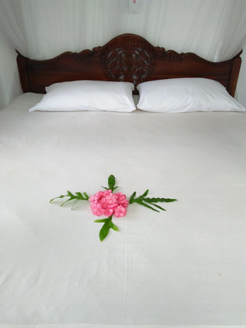 Ananda Villa Bentota Zewnętrze zdjęcie